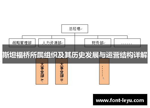 斯坦福桥所属组织及其历史发展与运营结构详解