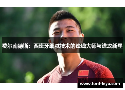 费尔南德斯：西班牙细腻技术的锋线大师与进攻新星