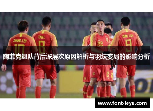 陶菲克退队背后深层次原因解析与羽坛变局的影响分析 陶菲克退队背后深层次原因解析与羽坛变局的影响分析