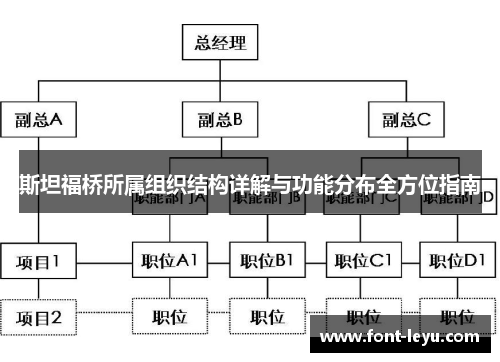 斯坦福桥所属组织结构详解与功能分布全方位指南