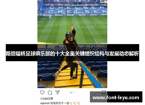 斯坦福桥足球俱乐部的十大全面关键组织结构与发展动态解析