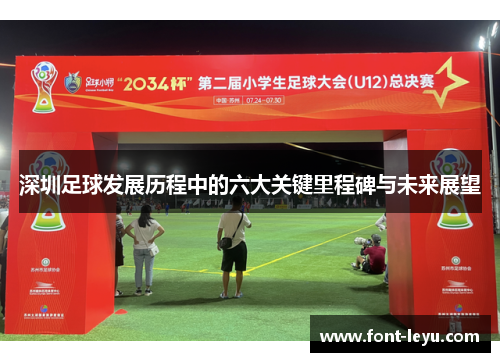 深圳足球发展历程中的六大关键里程碑与未来展望