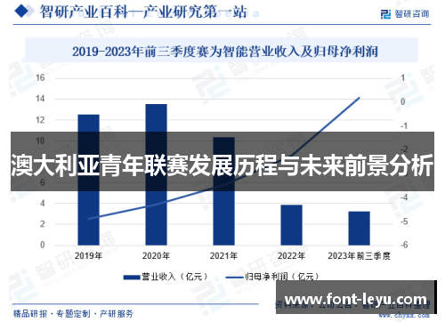 澳大利亚青年联赛发展历程与未来前景分析