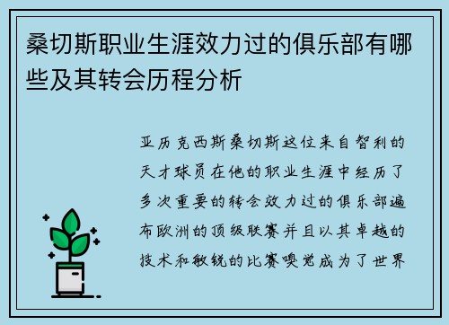 桑切斯职业生涯效力过的俱乐部有哪些及其转会历程分析